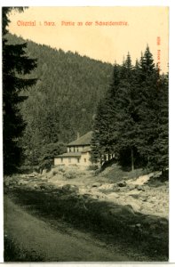 09795-Okertal-1908-An der Schneidemühl-Brück & Sohn Kunstverlag