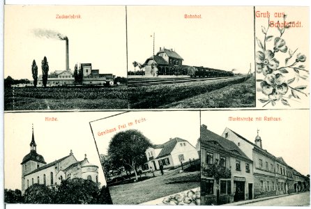 10712-Schafstädt-1909-verschiedene Ortsansichten-Brück & Sohn Kunstverlag