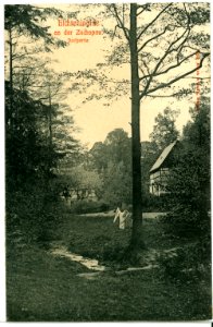 09684-Lichtenwalde-1908-Dorfansicht-Brück & Sohn Kunstverlag