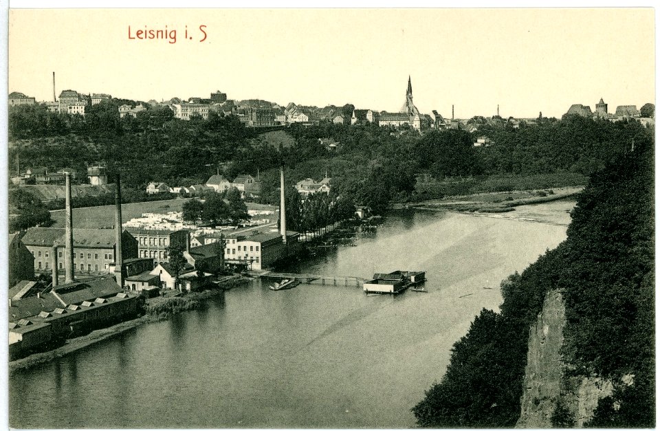 10310-Leisnig-1908-Blick auf Stadt und Mulde-Brück & Sohn Kunstverlag
