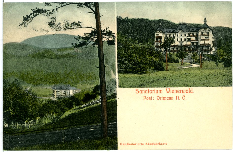 10185-Ortmann-1908-Sanatorium Wienerwald-Brück & Sohn Kunstverlag