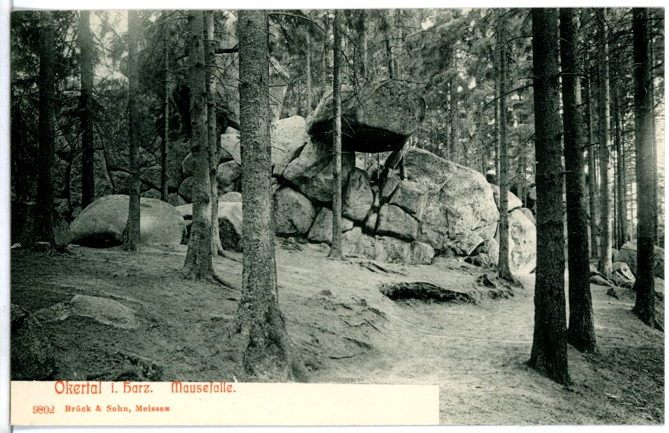 09802-Okertal-1908-Mausefalle-Brück & Sohn Kunstverlag