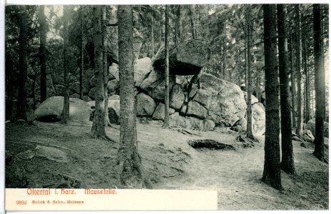 09802-Okertal-1908-Mausefalle-Brück & Sohn Kunstverlag