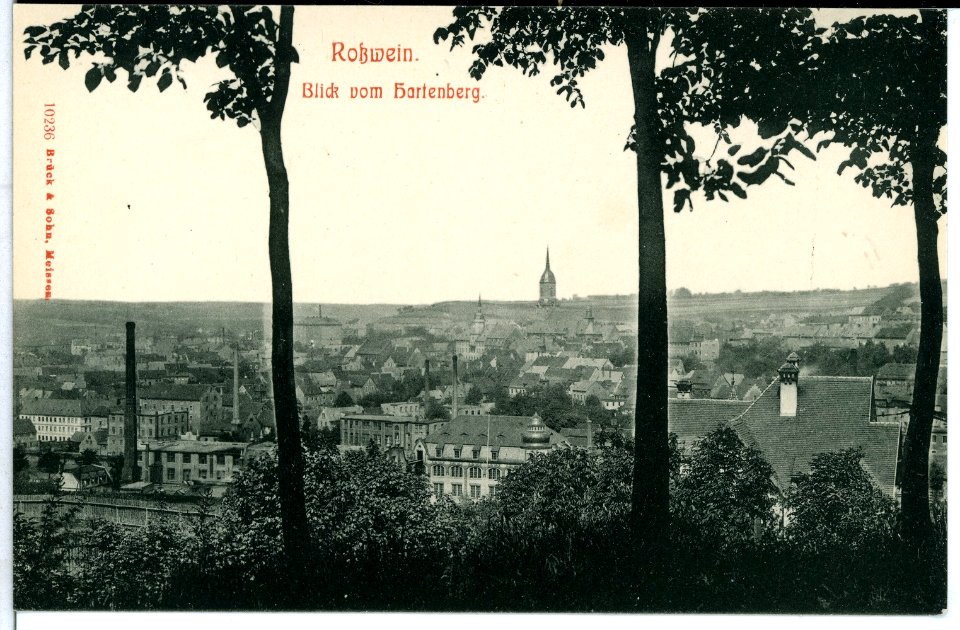 10236-Roßwein-1908-Blick auf Roßwein vom Hartenberg-Brück & Sohn Kunstverlag
