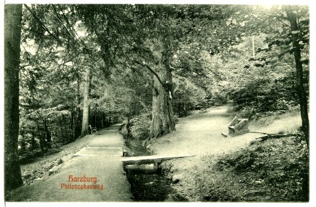 09781-Bad Harzburg-1908-Philosophenweg-Brück & Sohn Kunstverlag photo