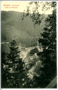11131-Wilischtal-1910-Blick vom Affenstein ins Wilischtal-Brück & Sohn Kunstverlag