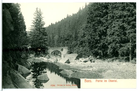 09794-Okertal-1908-Im Okertal-Brück & Sohn Kunstverlag