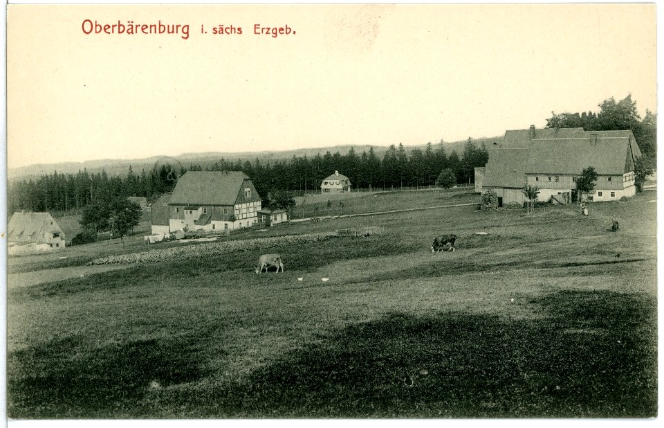 10228-Oberbärenburg-1908-Blick auf Oberbärenburg-Brück & Sohn Kunstverlag