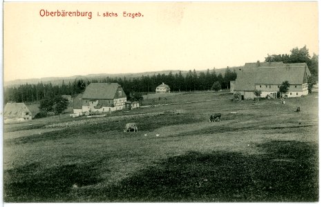 10228-Oberbärenburg-1908-Blick auf Oberbärenburg-Brück & Sohn Kunstverlag