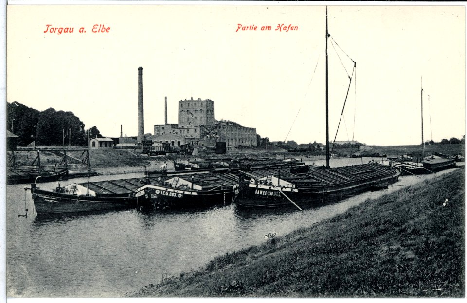 10106-Torgau-1908-Hafen mit Lastkähnen-Brück & Sohn Kunstverlag
