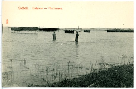 09628-Siofok-1908-Blick auf den Plattensee-Brück & Sohn Kunstverlag