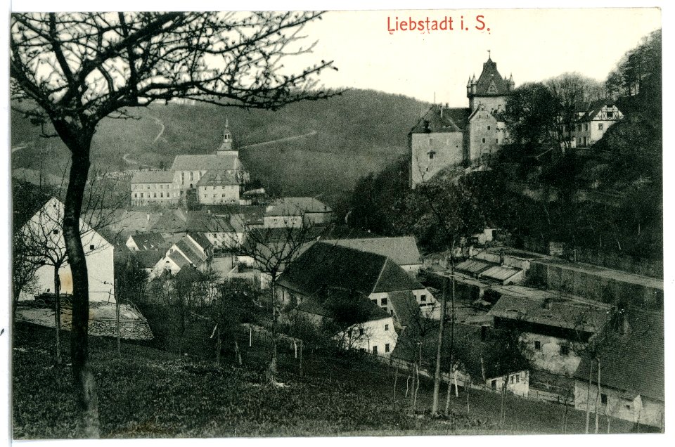 10811-Liebstadt-1909-Blick auf Liebstadt-Brück & Sohn Kunstverlag
