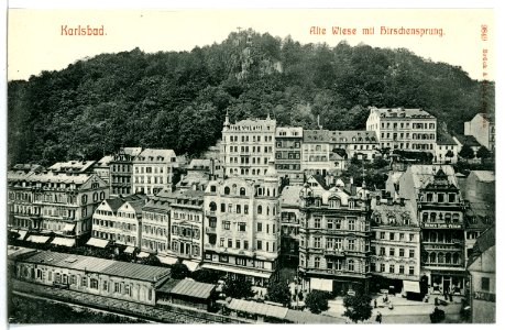 09849-Karlsbad-1908-Alte Wiese mit Hirschensprung-Brück & Sohn Kunstverlag