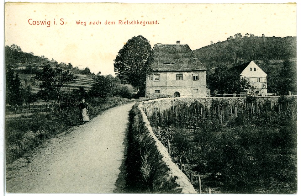 09732-Coswig-1908-Weg nach dem Rietzschkegrund-Brück & Sohn Kunstverlag