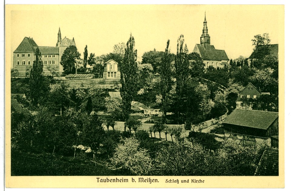 09878-Taubenheim (Klipphausen)-1908-Blick auf Taubenheim-Brück & Sohn Kunstverlag