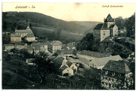10812-Liebstadt-1909-Blick auf Liebstadt, Schloß Kuckuckstein-Brück & Sohn Kunstverlag