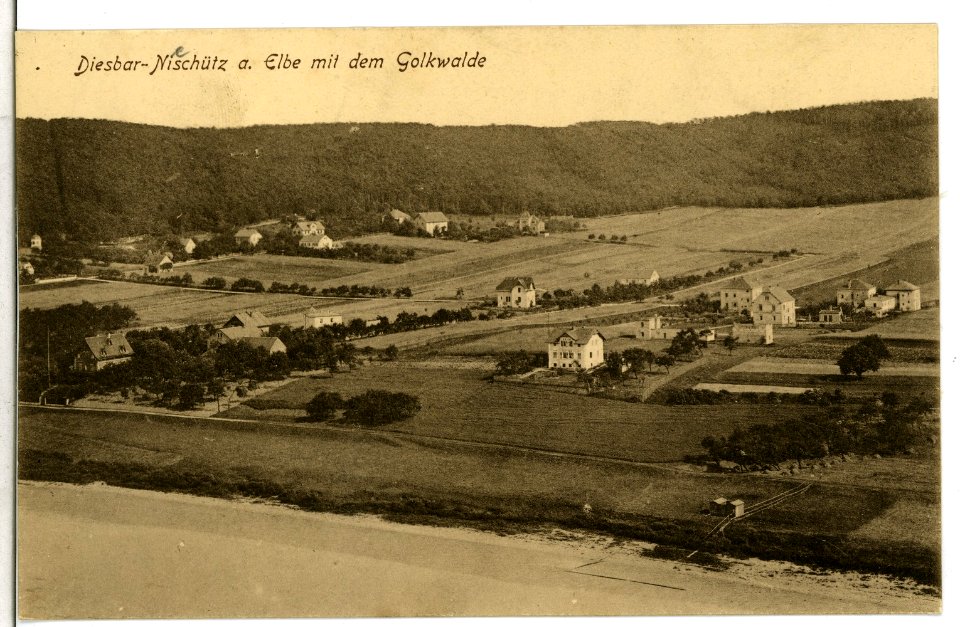 09964-Diesbar-1908-Nieschütz mit dem Golkwald-Brück & Sohn Kunstverlag