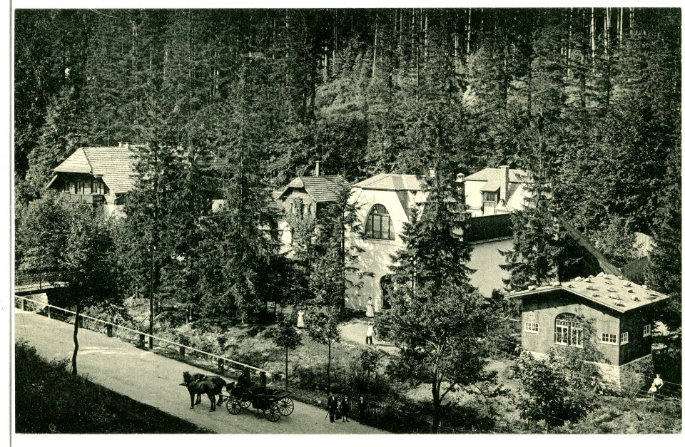 09658-Kipsdorf-1908-Sanatorium-Brück & Sohn Kunstverlag