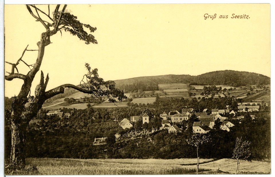 10981-Seesitz-1909-Blick auf Seesitz-Brück & Sohn Kunstverlag