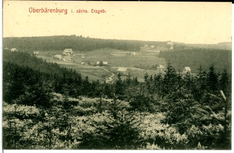 10230-Oberbärenburg-1908-Blick auf Oberbärenburg-Brück & Sohn Kunstverlag