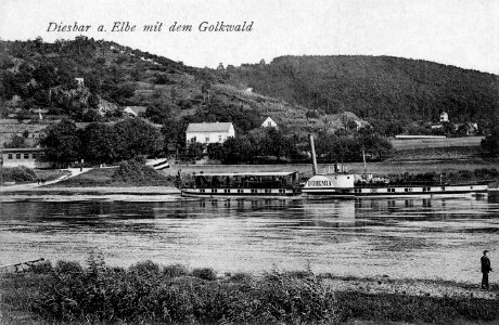 09960-Diesbar-1908-Mit dem Golkwald - Elbe mit Dampfer Bohemia-Brück & Sohn Kunstverlag