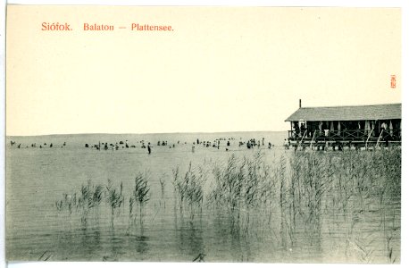 09629-Siofok-1908-Blick auf den Plattensee-Brück & Sohn Kunstverlag