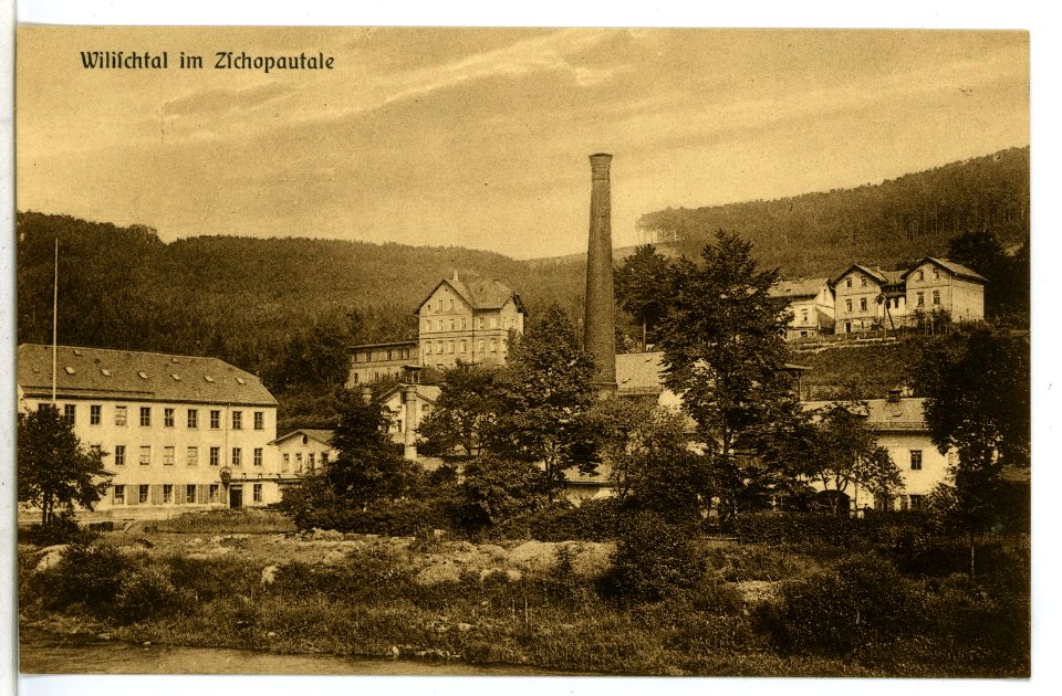09712-Wilischtal-1908-Blick auf Wilischtal-Brück & Sohn Kunstverlag
