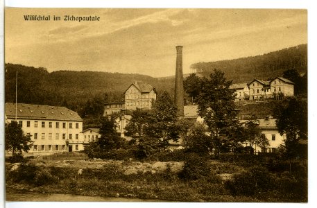09712-Wilischtal-1908-Blick auf Wilischtal-Brück & Sohn Kunstverlag