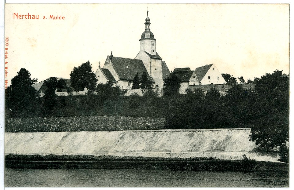 09509-Nerchau-1908-Blick auf Nerchau-Brück & Sohn Kunstverlag