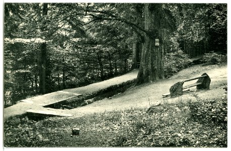 09775-Bad Harzburg-1908-Am Philosophenweg-Brück & Sohn Kunstverlag