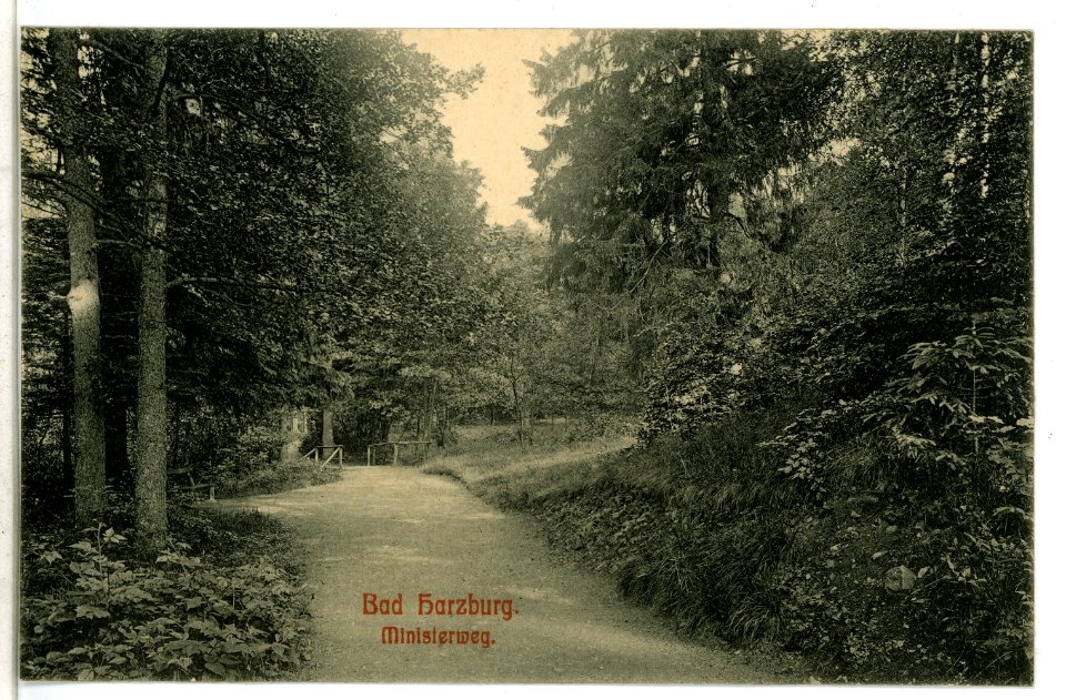 09776-Bad Harzburg-1908-Ministerweg-Brück & Sohn Kunstverlag