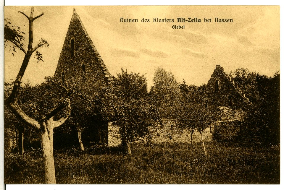 12129-Alt - Zella-1910-Klosterruinen, Giebel-Brück & Sohn Kunstverlag