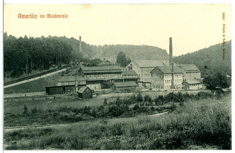 09990-Amerika-1908-im Muldentale-Brück & Sohn Kunstverlag