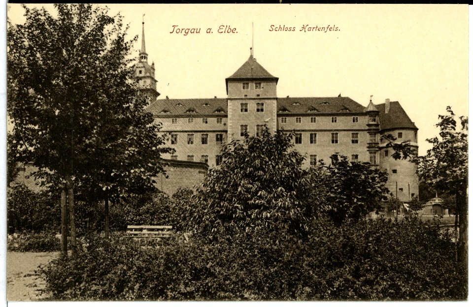 10092-Torgau-1908-Schloß Hartenfels-Brück & Sohn Kunstverlag