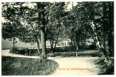 12012-Radebeul-1910-Lößnitzgrund-Brück & Sohn Kunstverlag