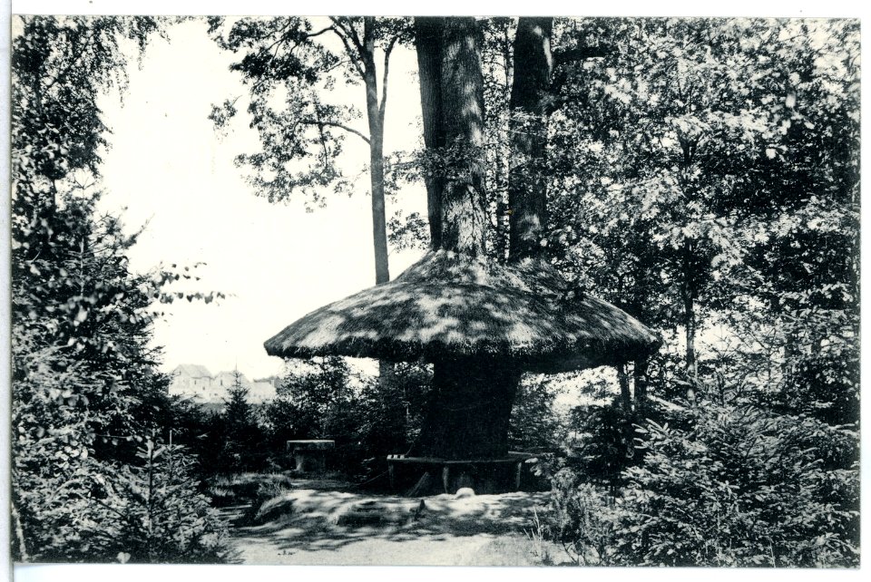 12420-Elsterwerda-1911-Der Pilz im Stadtpark-Brück & Sohn Kunstverlag