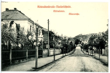 12424-Kötzschenbroda-1911-Altfriedstein - Alleestraße-Brück & Sohn Kunstverlag