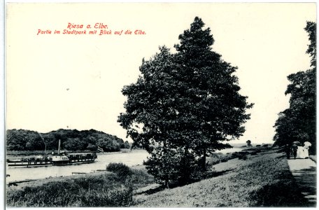 10193-Riesa-1908-Im Stadtpark - Blick auf die Elbe mit Dampfer-Brück & Sohn Kunstverlag