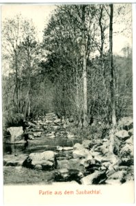 09734-Gauernitz-1908-Saubachtal-Brück & Sohn Kunstverlag