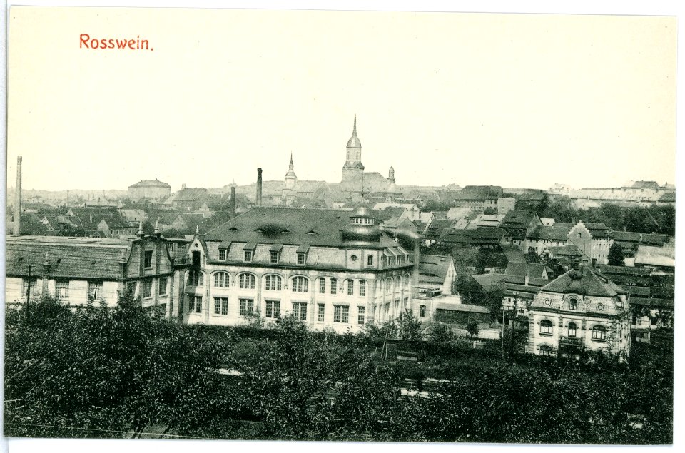10134-Roßwein-1908-Blick auf Roßwein-Brück & Sohn Kunstverlag