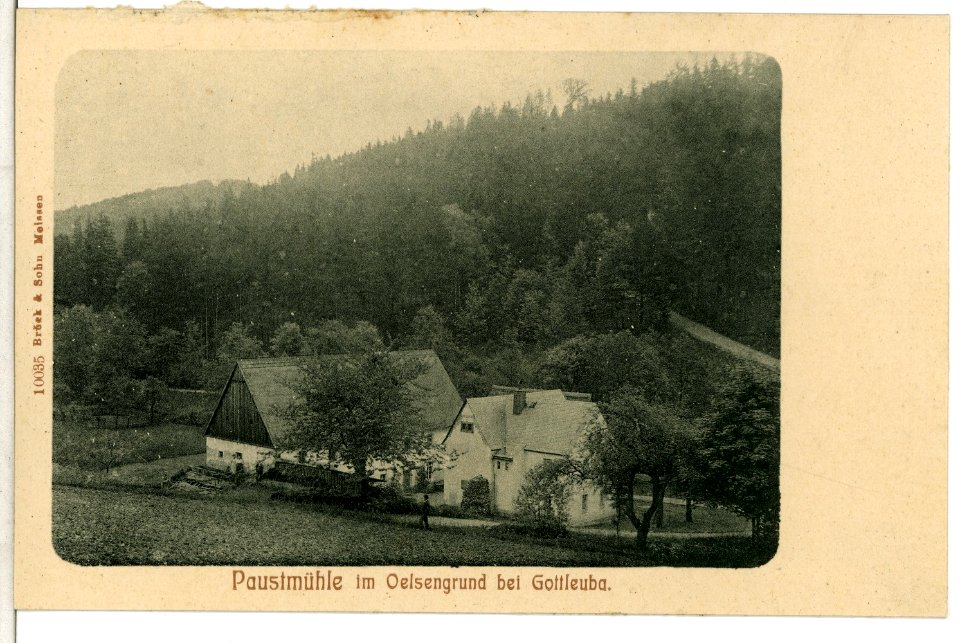 10035-Gottleuba-1908-Paustmühle im Oelsengrund-Brück & Sohn Kunstverlag