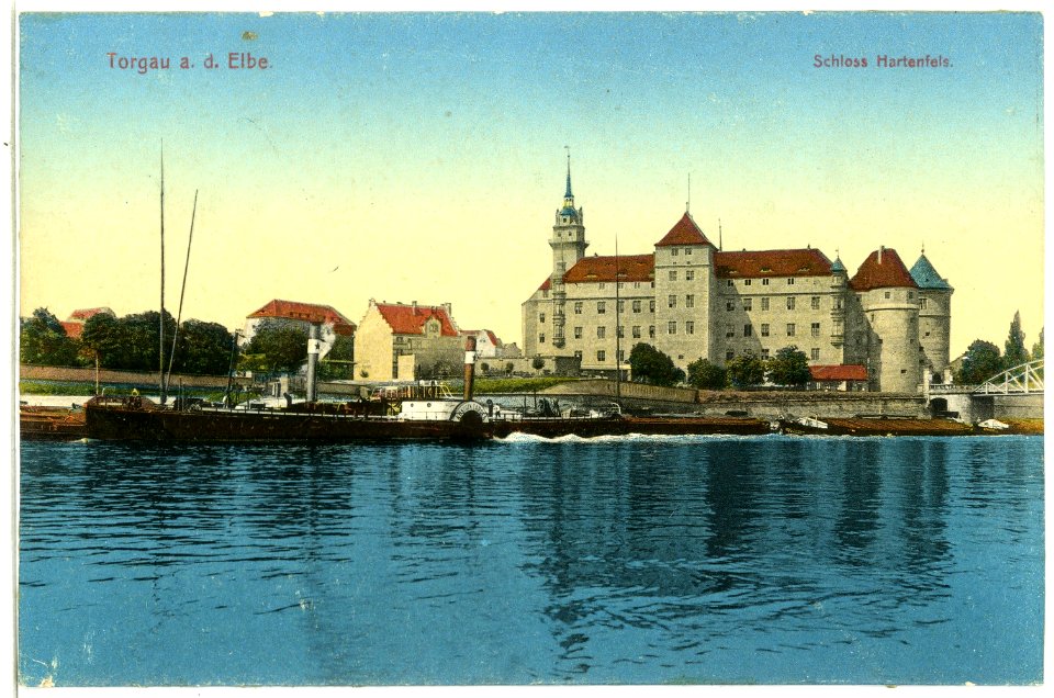 12401-Torgau-1911-Schloß Hartenfels - Elbe mit Schleppzug Königin Carola-Brück & Sohn Kunstverlag