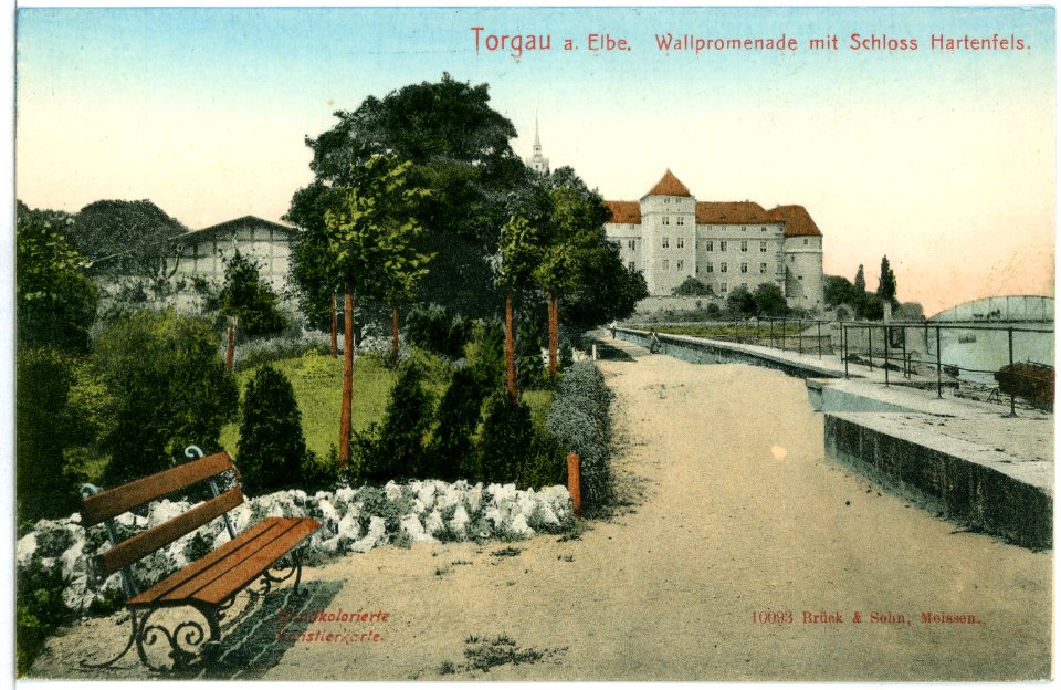 10093-Torgau-1908-Wallpromenade mit Schloß Hartenfels-Brück & Sohn Kunstverlag