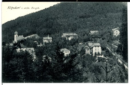 10221-Kipsdorf-1908-Blick auf Kipsdorf-Brück & Sohn Kunstverlag