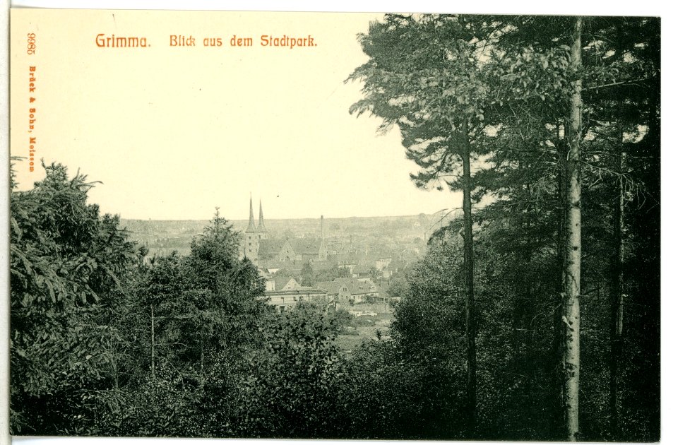 09985-Grimma-1908-Blick aus dem Stadtpark-Brück & Sohn Kunstverlag