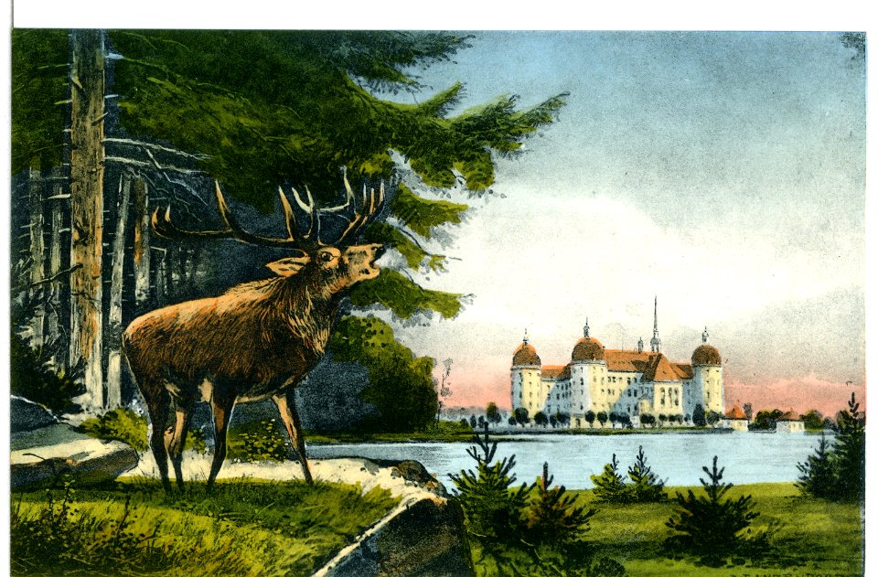 12208-Moritzburg-1910-Jagdschloß-Brück & Sohn Kunstverlag