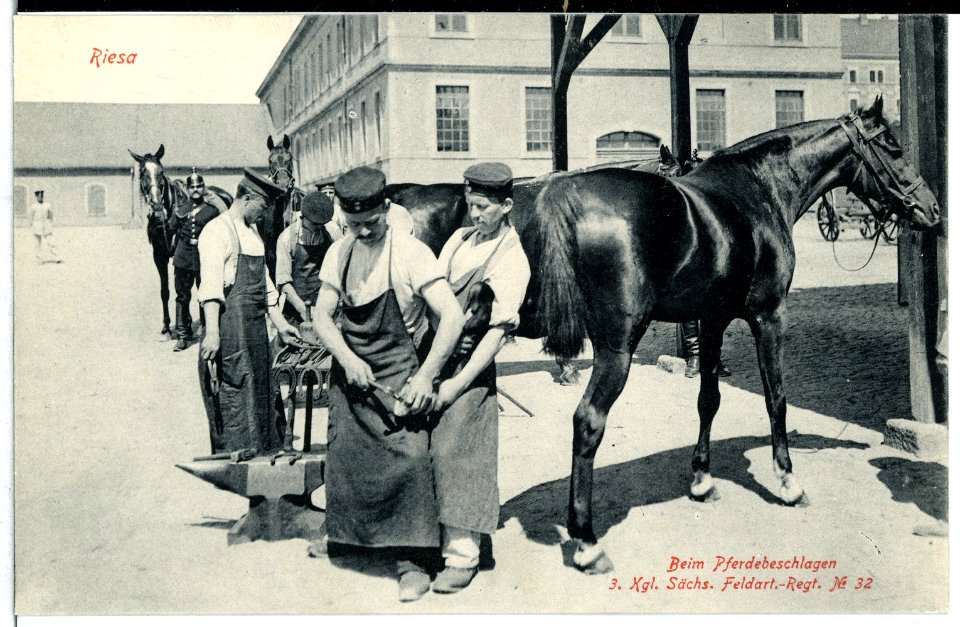 10042-Riesa-1908-3. Feldartillerie-Regiment Nr. 32 - Beim Pferdbeschlagen-Brück & Sohn Kunstverlag