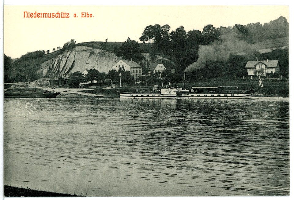12061-Niedermuschütz-1910-Elbe mit Dampfer Königstein-Brück & Sohn Kunstverlag