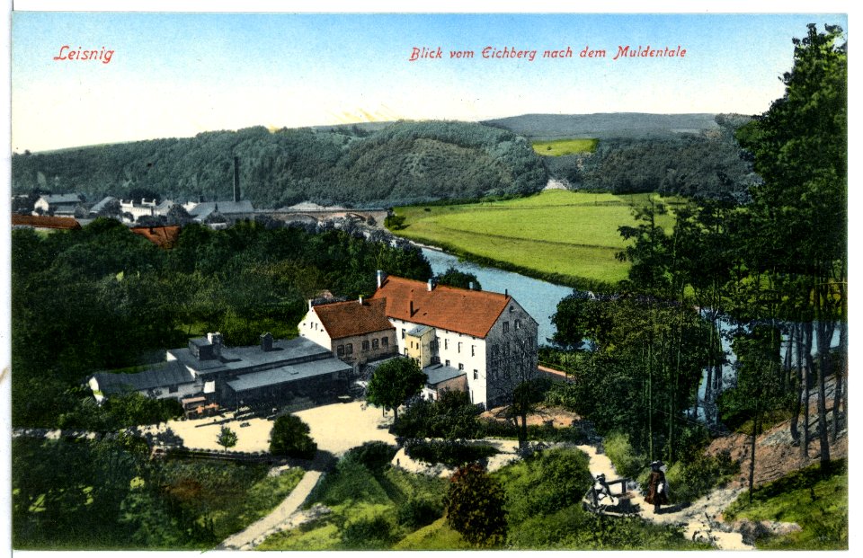 10307-Leisnig-1908-Blick vom Eichberg Auf die Stadt und Mulde-Brück & Sohn Kunstverlag