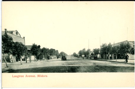 10291-Mildura-1908-Laugtree Avenue-Brück & Sohn Kunstverlag